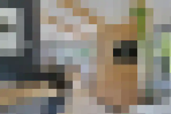 Raadhuisstraat 27 h70 Dirkshorn thumbnail 11