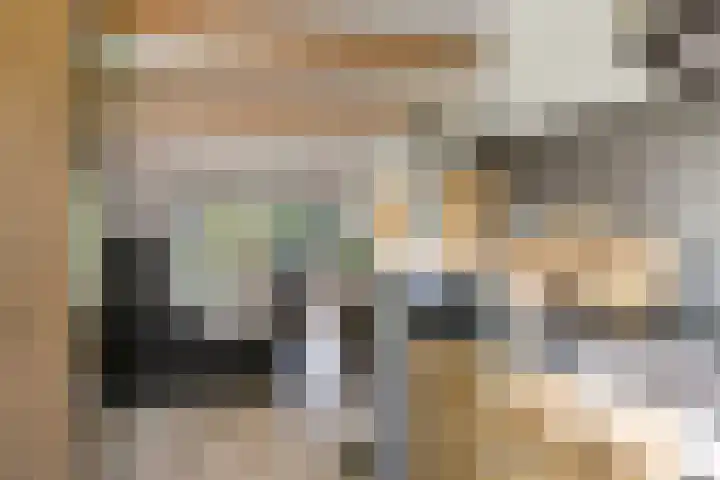 Raadhuisstraat 27 h70 Dirkshorn thumbnail 14