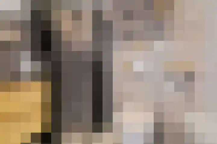 Raadhuisstraat 27 h70 Dirkshorn thumbnail 15