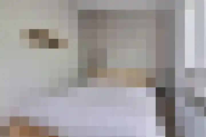 Raadhuisstraat 27 h70 Dirkshorn thumbnail 18