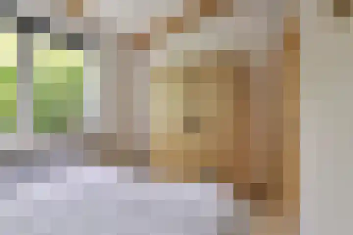 Raadhuisstraat 27 h70 Dirkshorn thumbnail 19