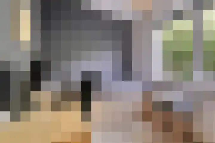 Raadhuisstraat 27 h70 Dirkshorn thumbnail 20