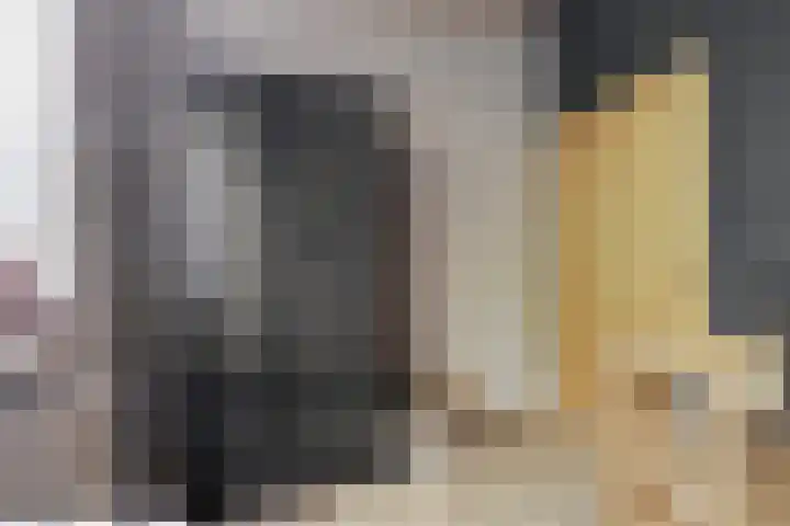 Raadhuisstraat 27 h70 Dirkshorn thumbnail 21