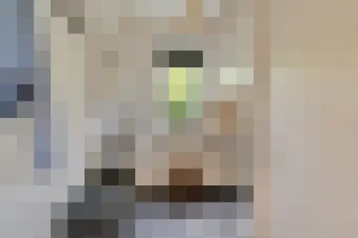 Raadhuisstraat 27 h70 Dirkshorn thumbnail 22
