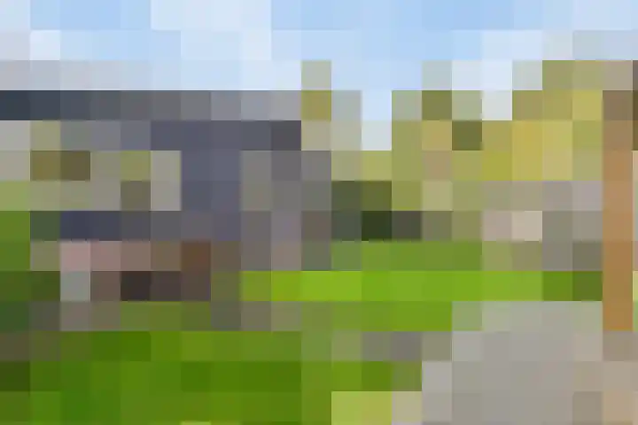 Raadhuisstraat 27 h70 Dirkshorn thumbnail 24
