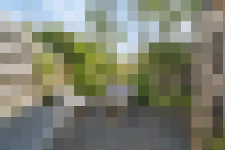 Raadhuisstraat 27 h70 Dirkshorn thumbnail 25
