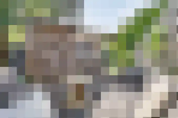 Raadhuisstraat 27 h70 Dirkshorn thumbnail 26