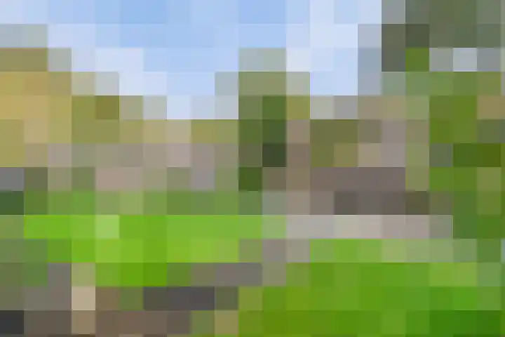 Raadhuisstraat 27 h70 Dirkshorn thumbnail 27
