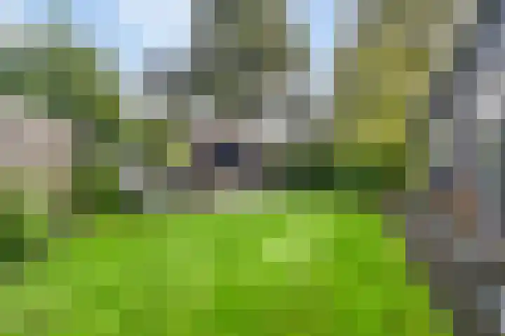 Raadhuisstraat 27 h70 Dirkshorn thumbnail 28