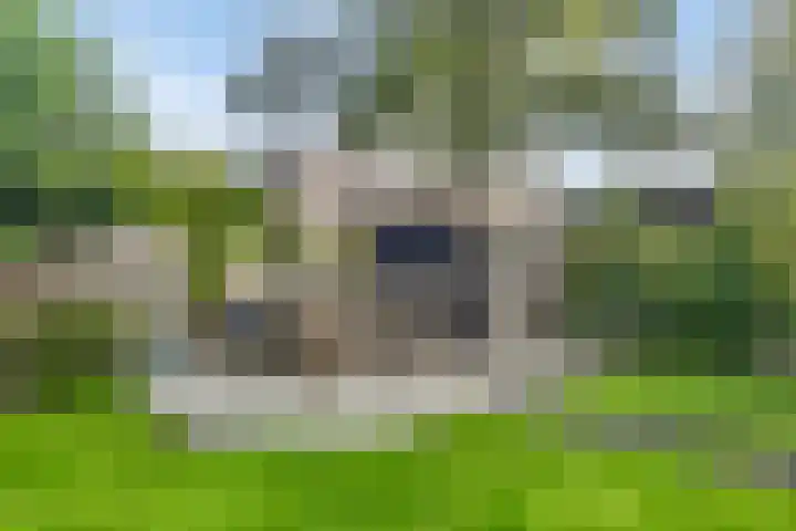 Raadhuisstraat 27 h70 Dirkshorn thumbnail 29