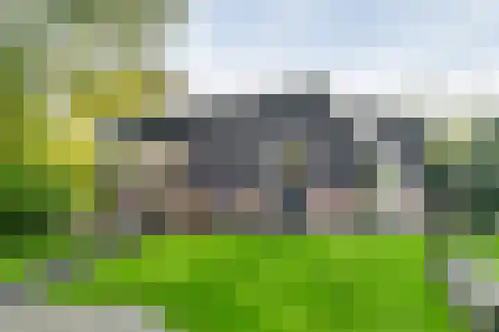 Raadhuisstraat 27 h70 Dirkshorn thumbnail 31