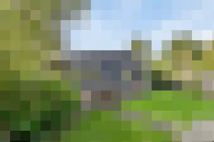 Raadhuisstraat 27 h70 Dirkshorn thumbnail 32