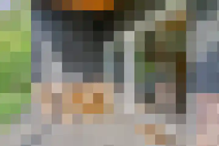Raadhuisstraat 27 h70 Dirkshorn thumbnail 34