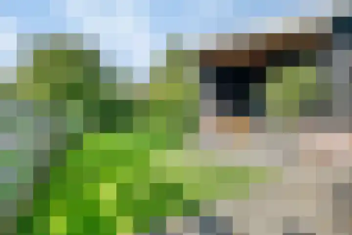 Raadhuisstraat 27 h70 Dirkshorn thumbnail 35