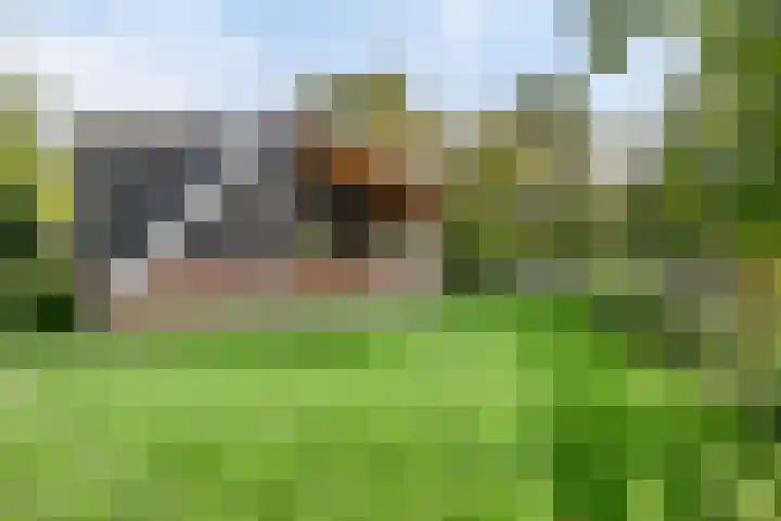 Raadhuisstraat 27 h70 Dirkshorn thumbnail 36