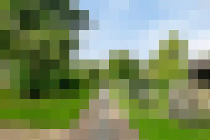 Raadhuisstraat 27 h70 Dirkshorn thumbnail 37
