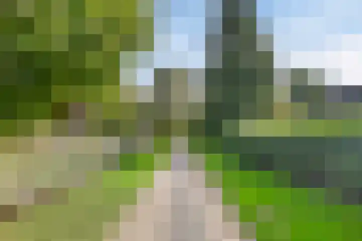Raadhuisstraat 27 h70 Dirkshorn thumbnail 38