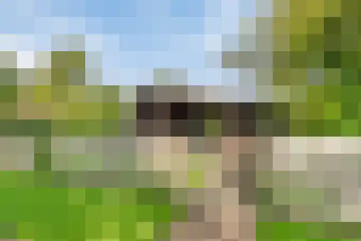 Raadhuisstraat 27 h70 Dirkshorn thumbnail 4