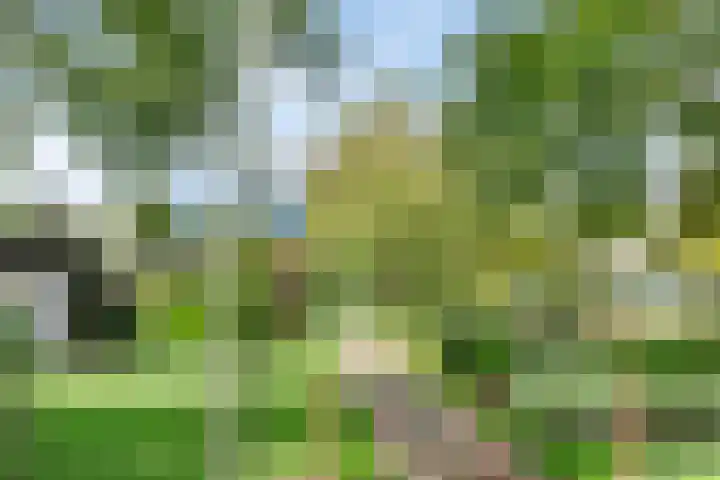 Raadhuisstraat 27 h70 Dirkshorn thumbnail 40