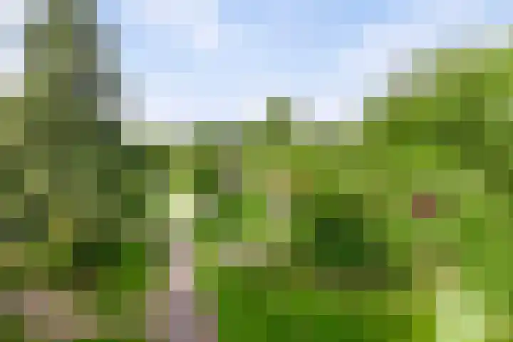 Raadhuisstraat 27 h70 Dirkshorn thumbnail 43