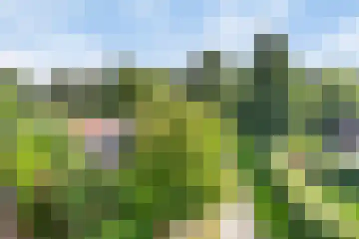 Raadhuisstraat 27 h70 Dirkshorn thumbnail 44