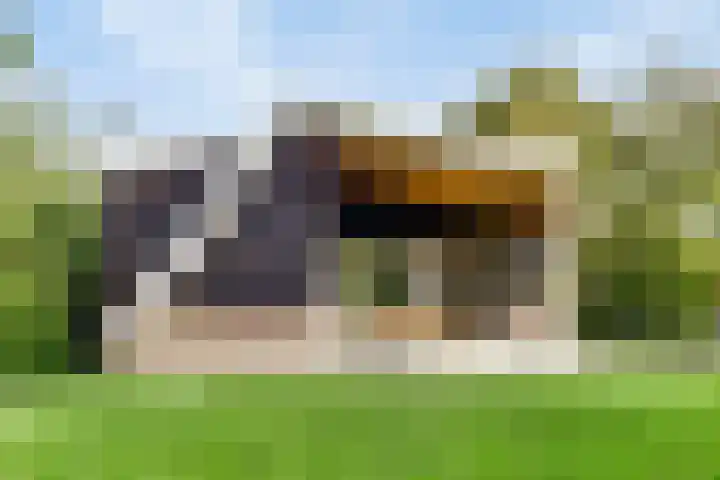Raadhuisstraat 27 h70 Dirkshorn thumbnail 5