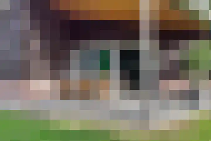 Raadhuisstraat 27 h70 Dirkshorn thumbnail 6