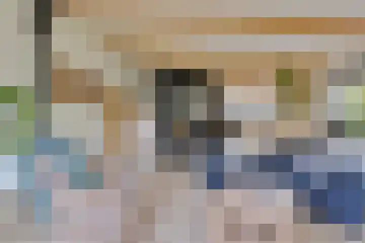 Raadhuisstraat 27 h70 Dirkshorn thumbnail 7