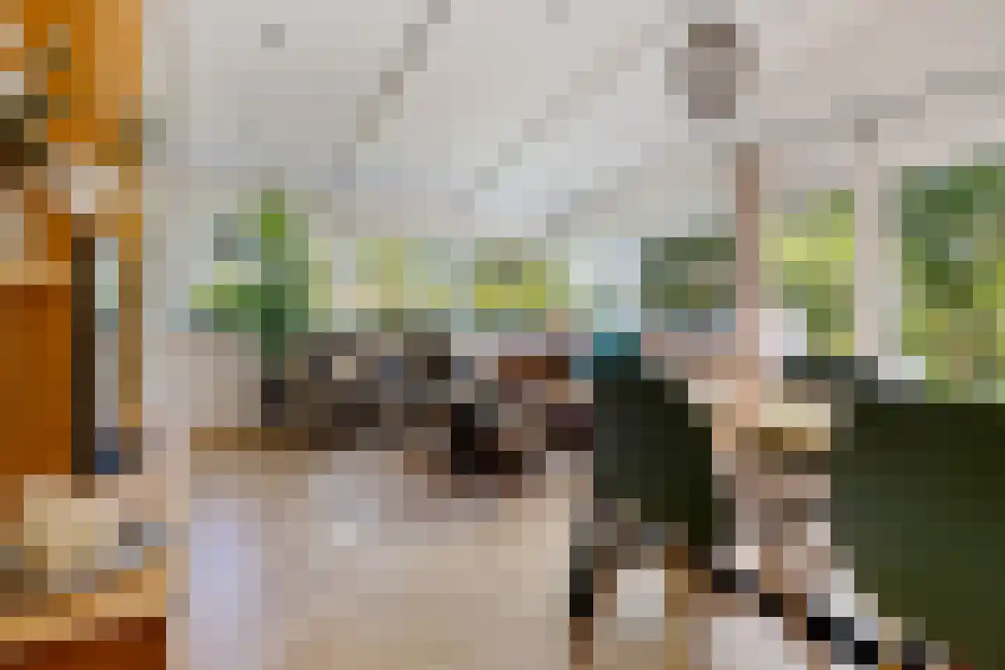 Raadhuisstraat 27 h73 Dirkshorn thumbnail 17