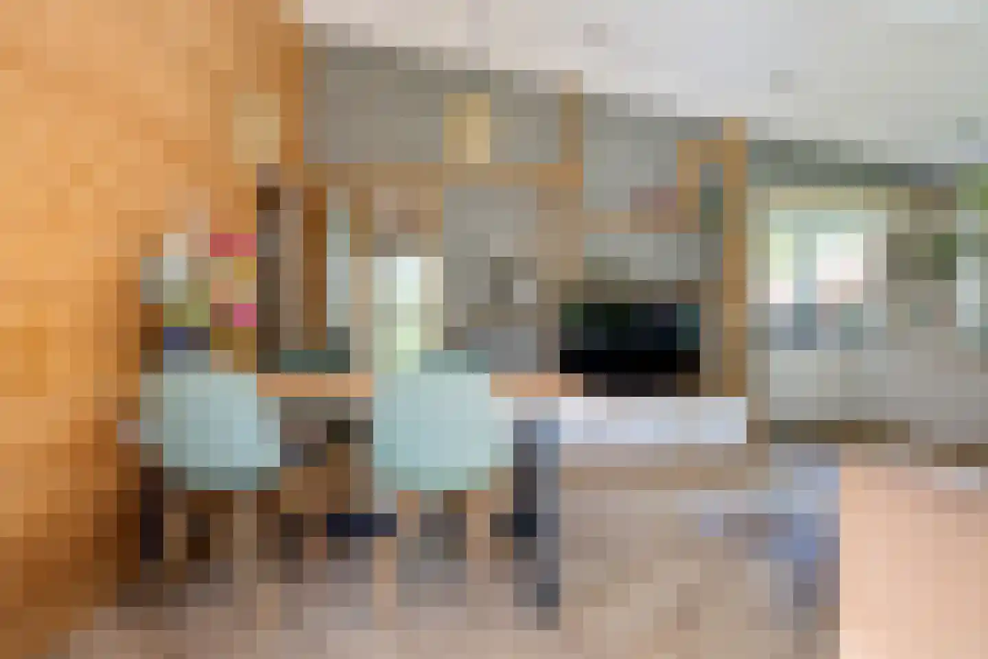Raadhuisstraat 27 h73 Dirkshorn thumbnail 18