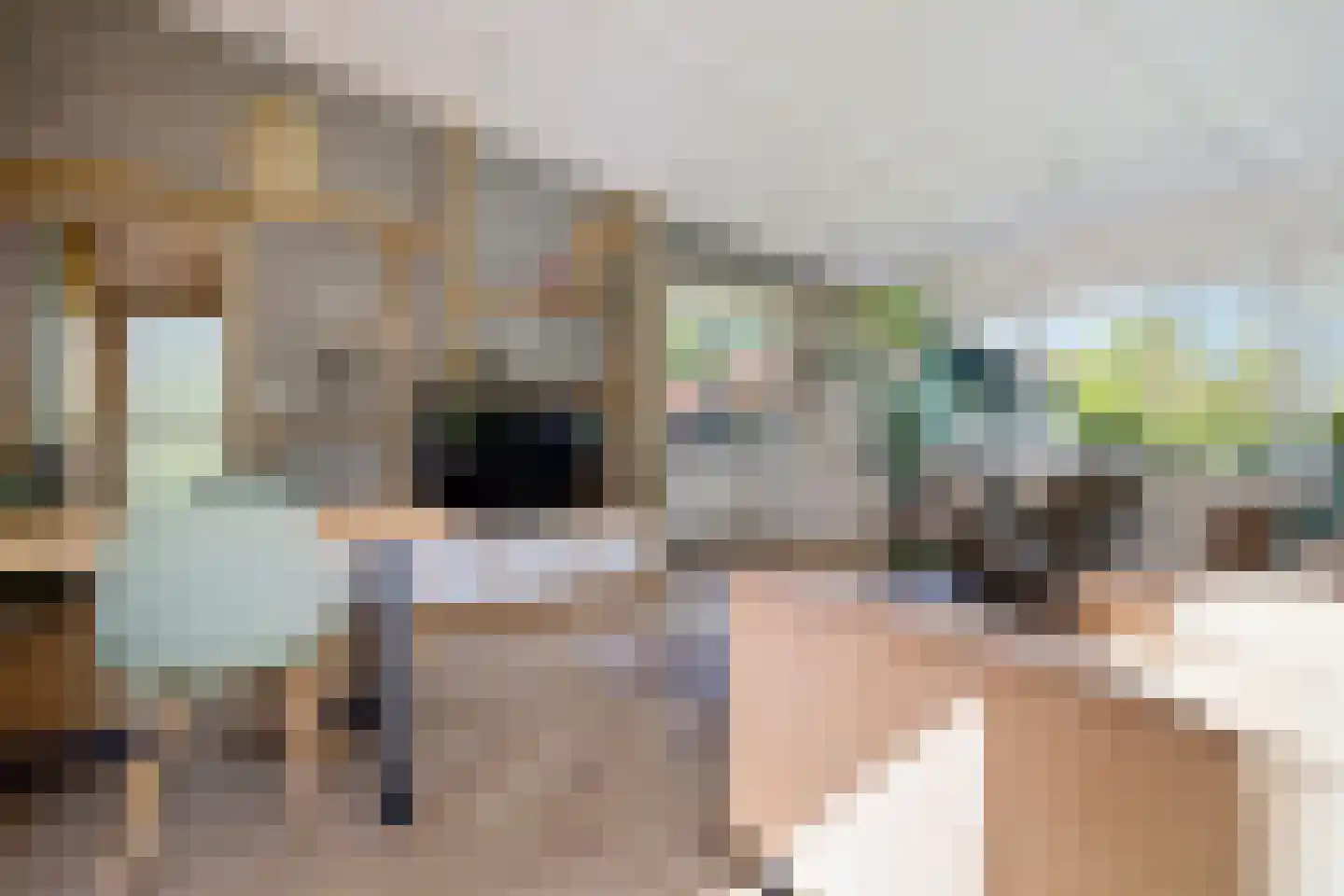 Raadhuisstraat 27 h73 Dirkshorn thumbnail 19