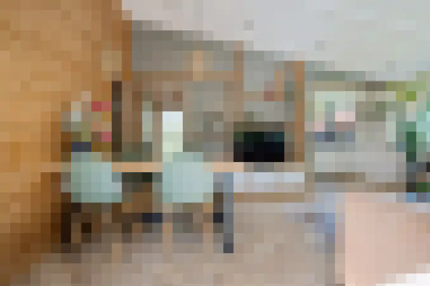 Raadhuisstraat 27 h73 Dirkshorn thumbnail 20