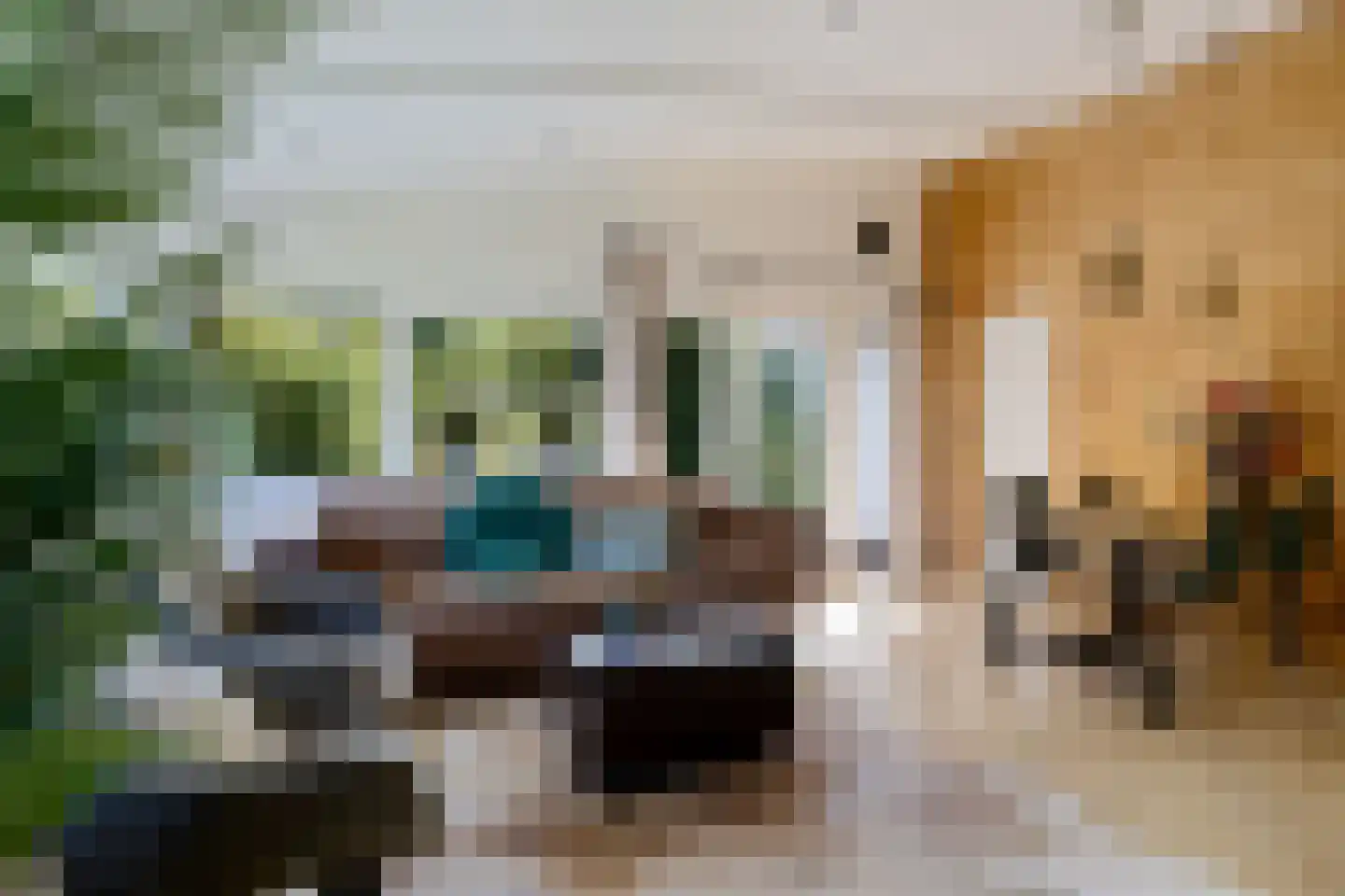 Raadhuisstraat 27 h73 Dirkshorn thumbnail 22