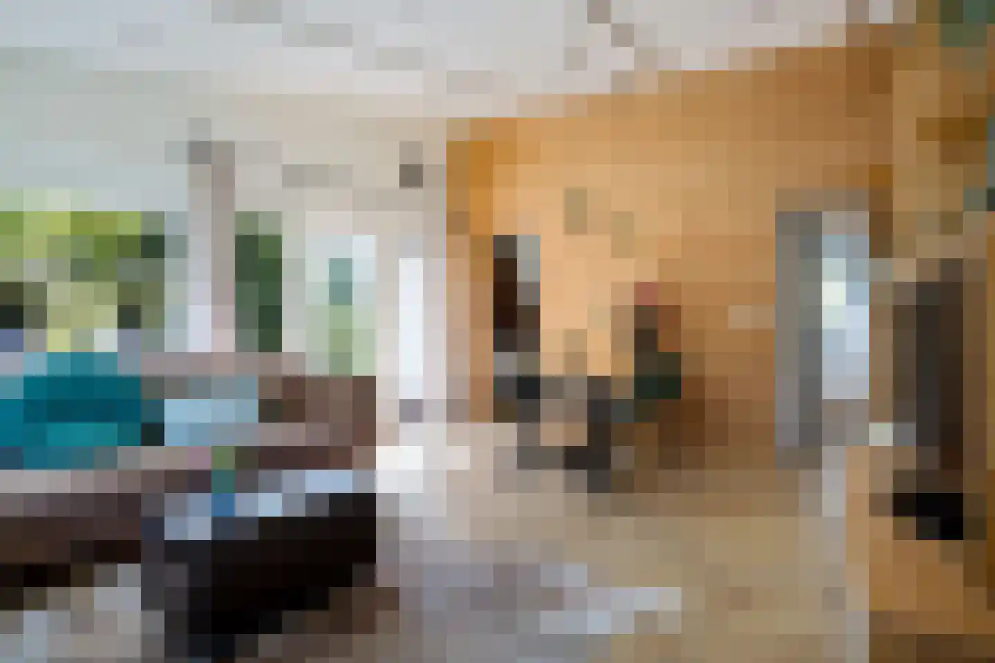 Raadhuisstraat 27 h73 Dirkshorn thumbnail 23