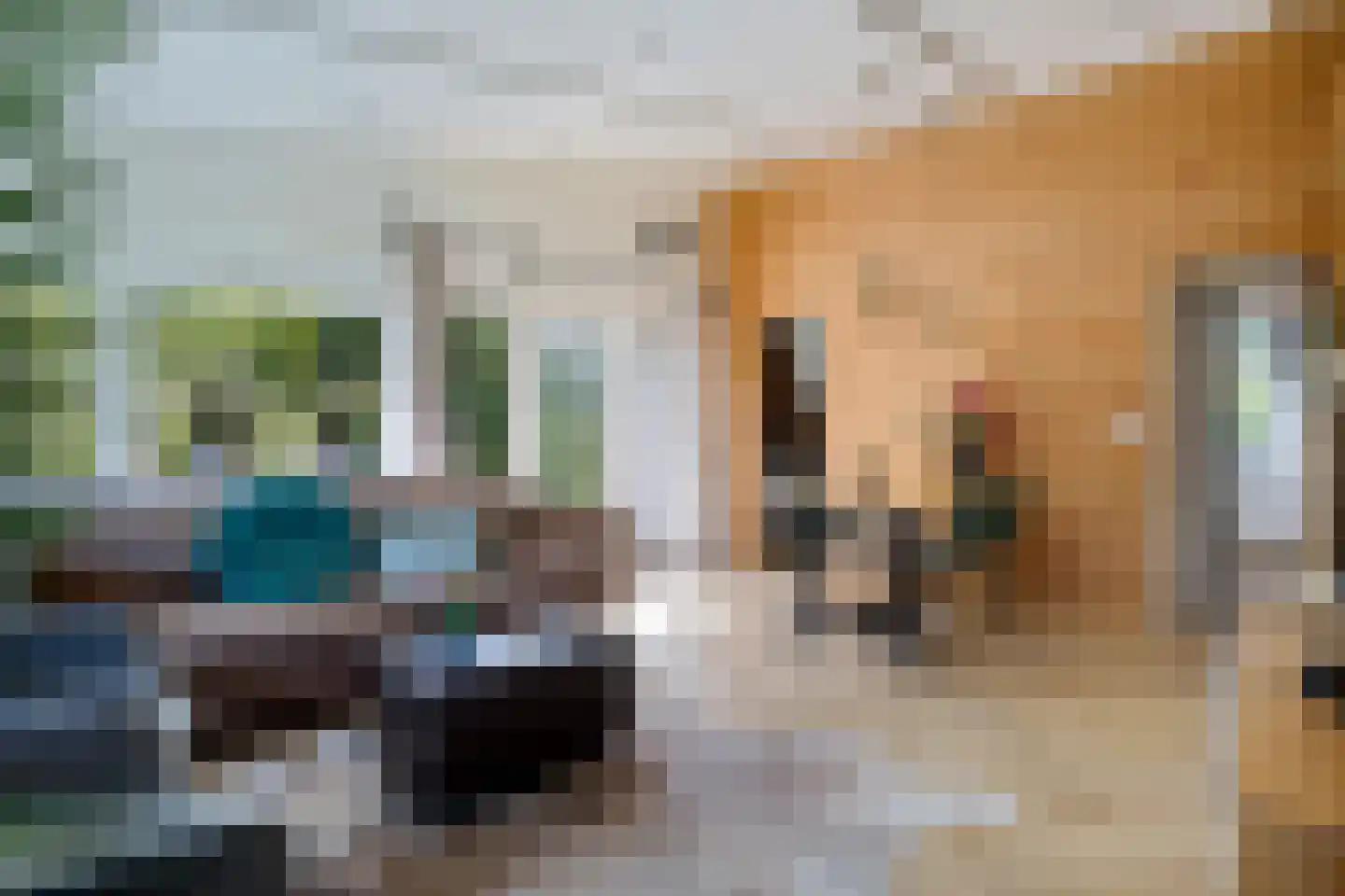 Raadhuisstraat 27 h73 Dirkshorn thumbnail 24