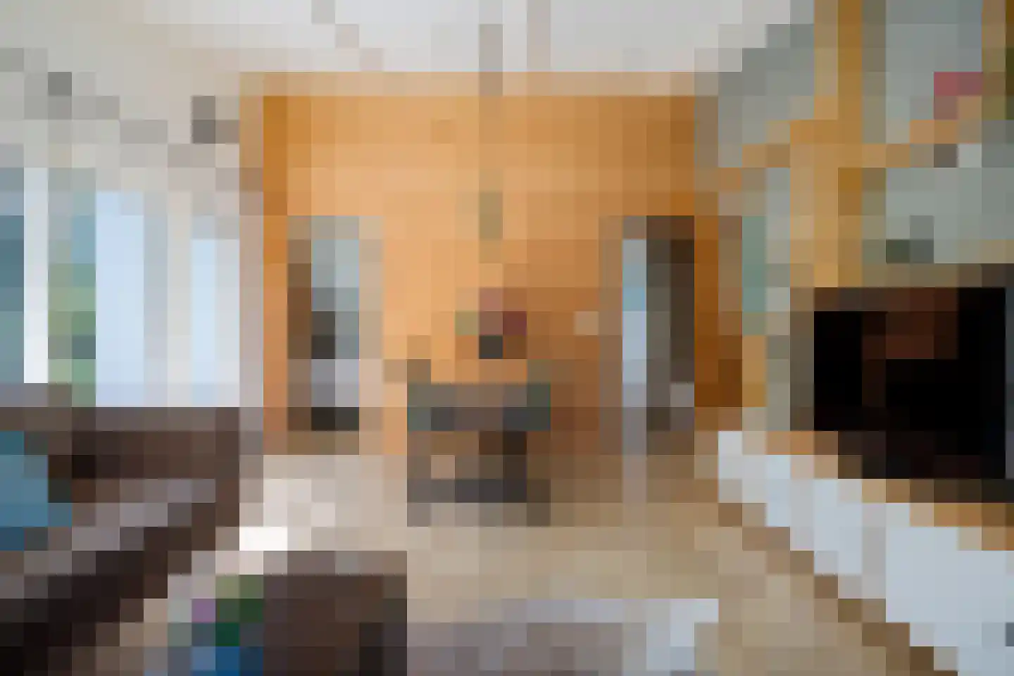 Raadhuisstraat 27 h73 Dirkshorn thumbnail 25