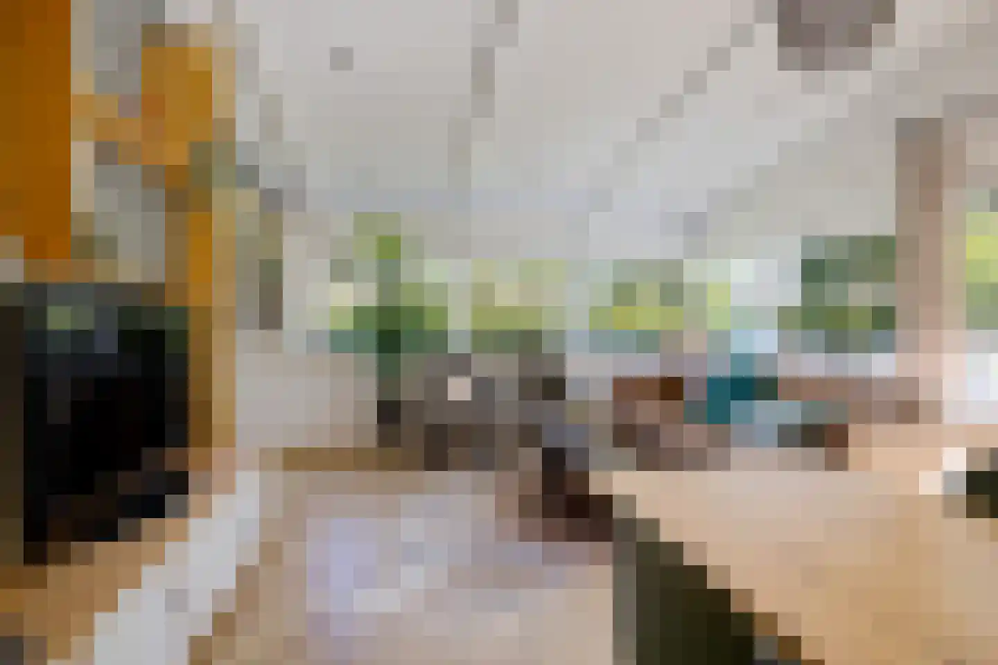 Raadhuisstraat 27 h73 Dirkshorn thumbnail 26