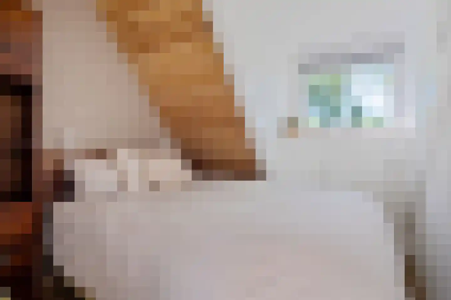 Raadhuisstraat 27 h73 Dirkshorn thumbnail 31