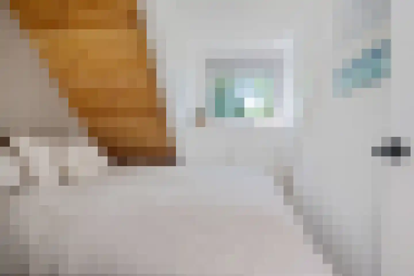 Raadhuisstraat 27 h73 Dirkshorn thumbnail 32
