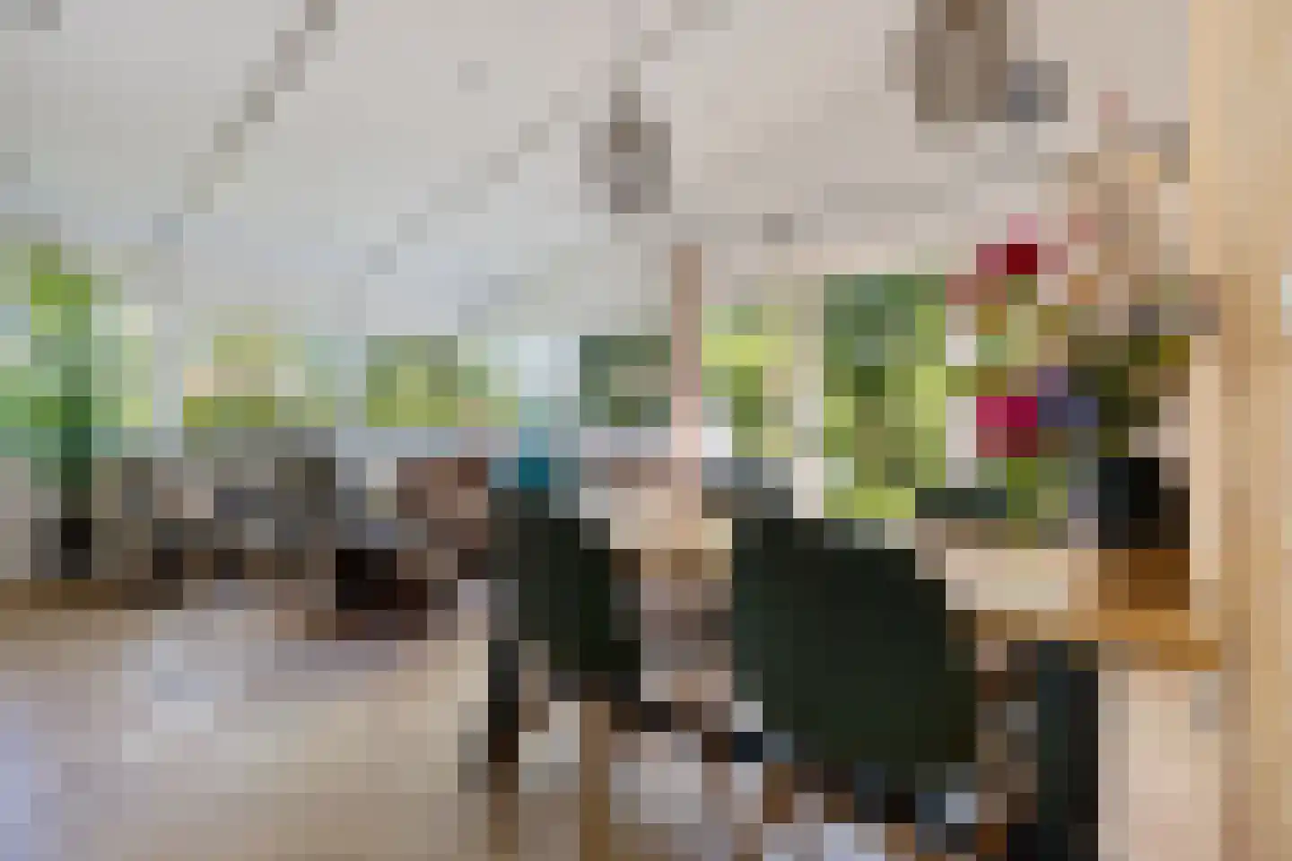 Raadhuisstraat 27 h73 Dirkshorn thumbnail 36