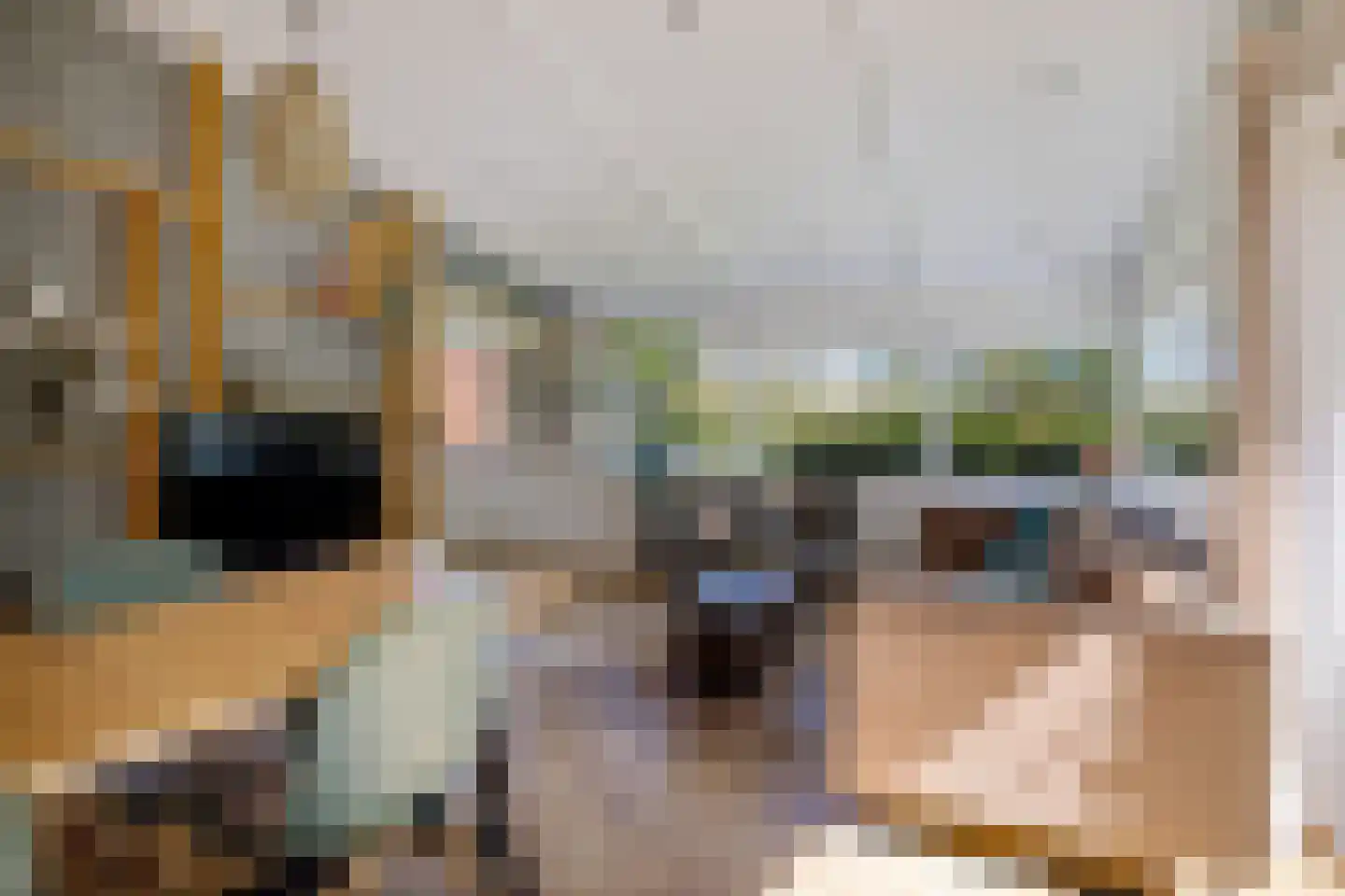 Raadhuisstraat 27 h73 Dirkshorn thumbnail 37