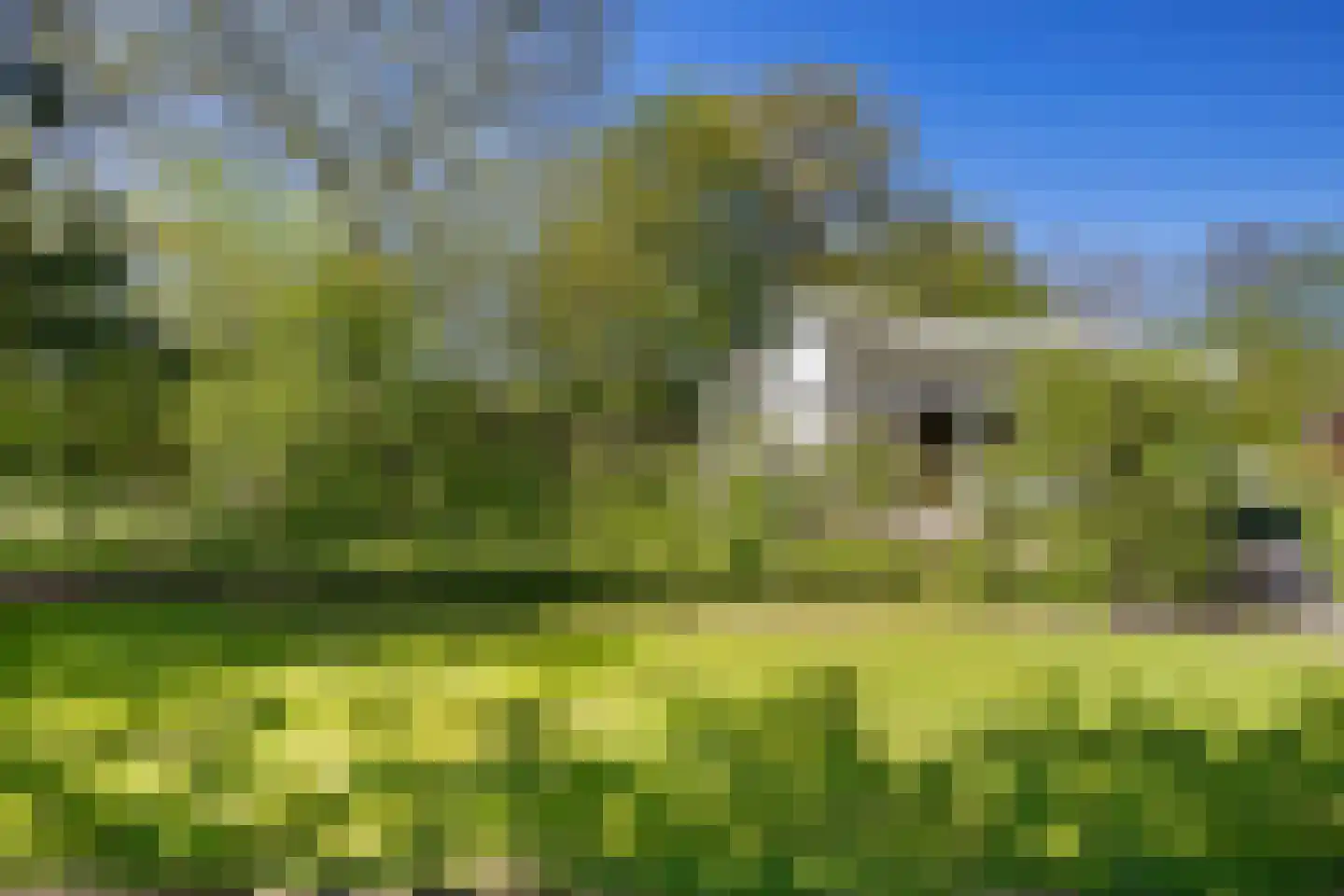 Raadhuisstraat 27 h73 Dirkshorn thumbnail 40