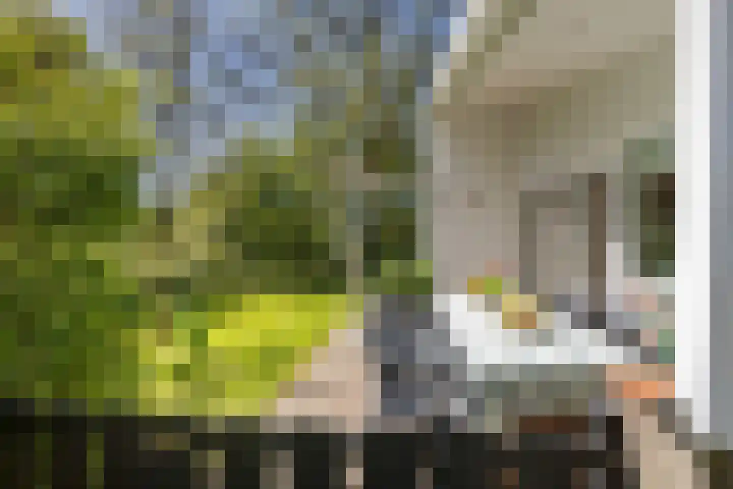Raadhuisstraat 27 h73 Dirkshorn thumbnail 7