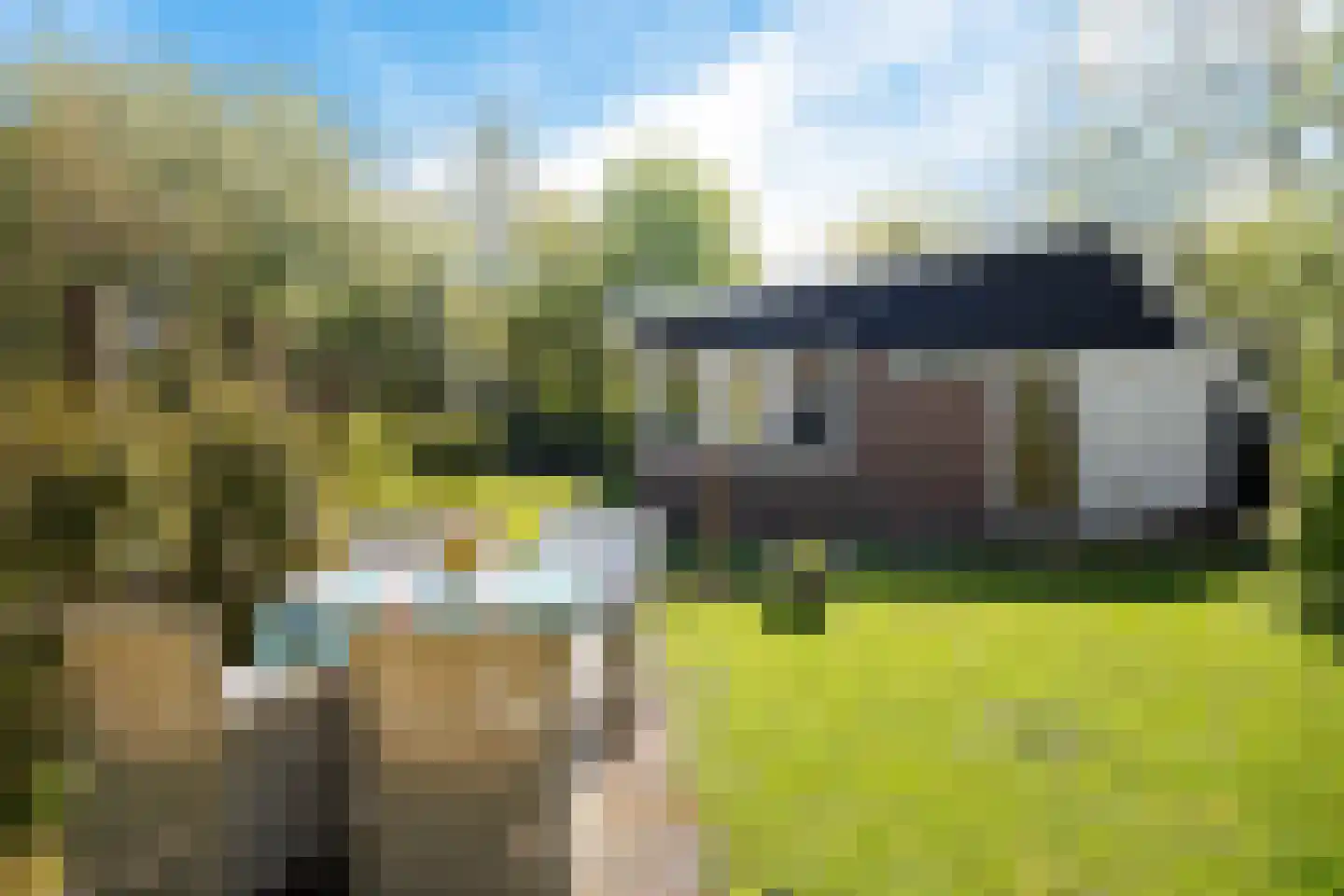 Raadhuisstraat 27 h73 Dirkshorn thumbnail 9