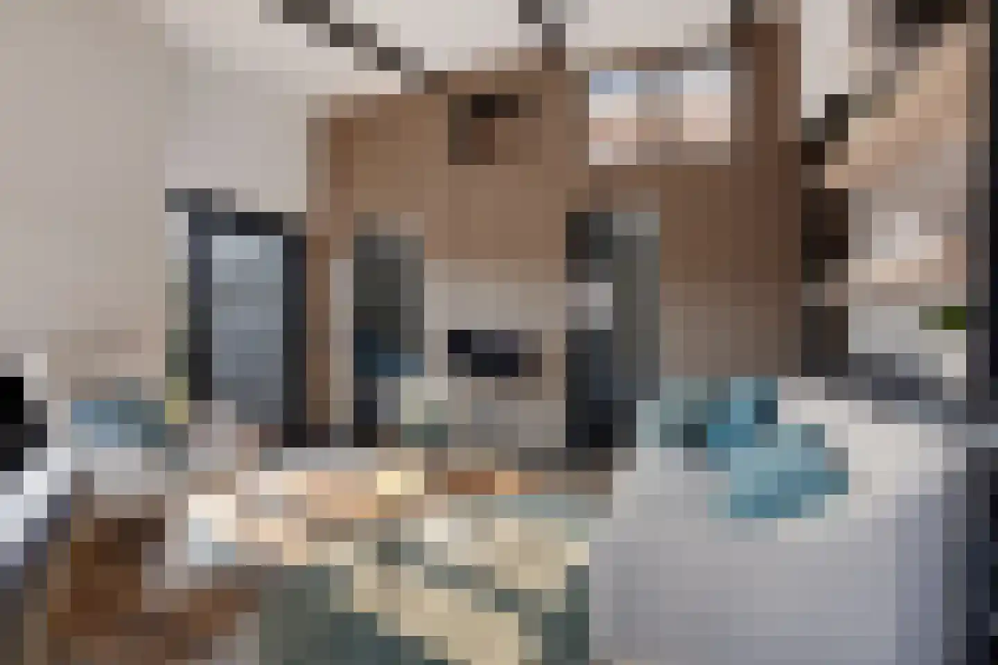 Raadhuisstraat 27 h78 Dirkshorn thumbnail 13