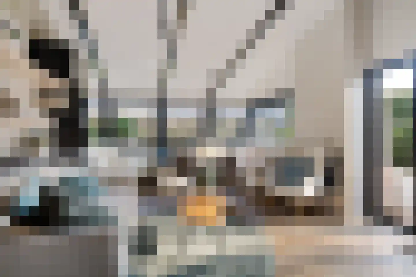Raadhuisstraat 27 h78 Dirkshorn thumbnail 16