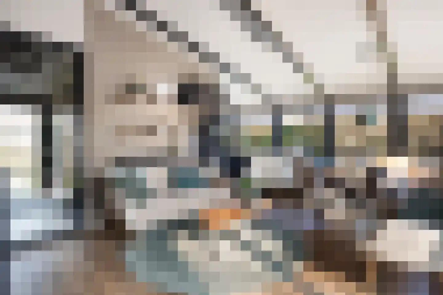 Raadhuisstraat 27 h78 Dirkshorn thumbnail 18