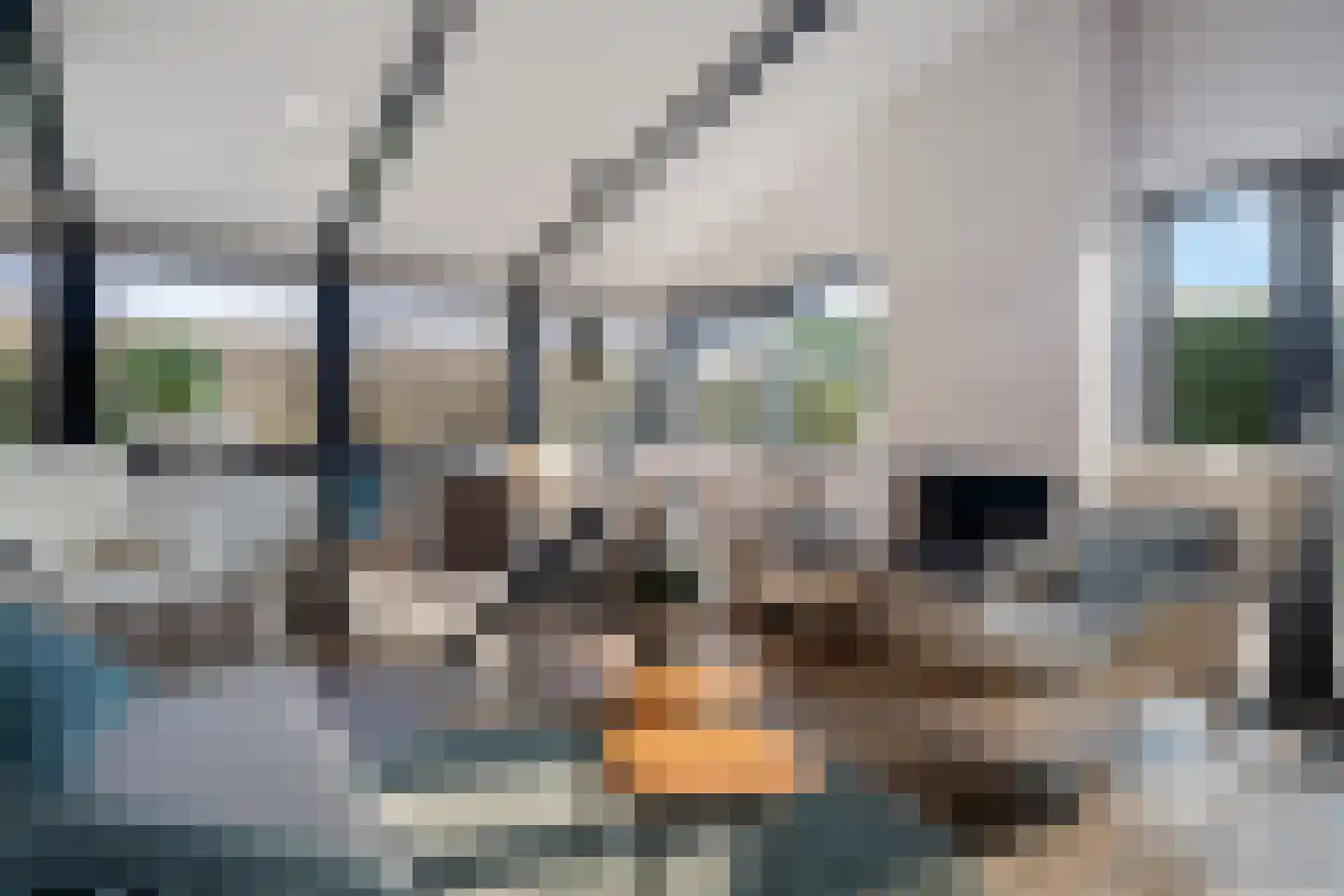 Raadhuisstraat 27 h78 Dirkshorn thumbnail 19