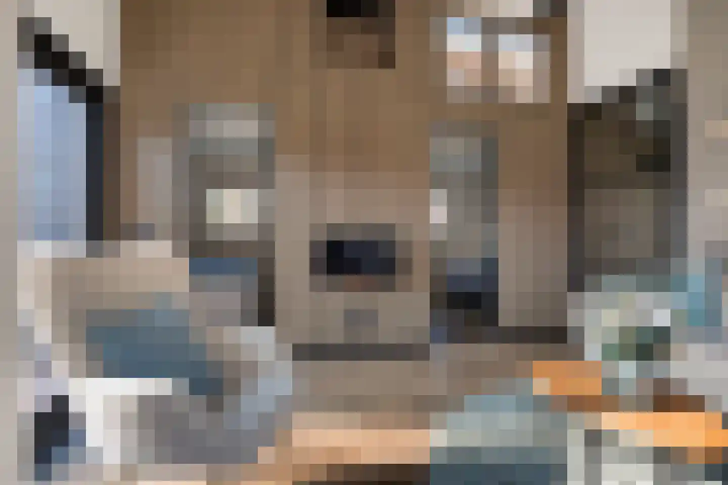 Raadhuisstraat 27 h78 Dirkshorn thumbnail 20