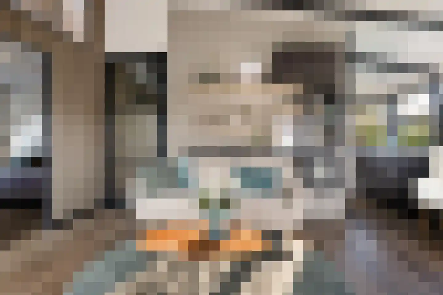 Raadhuisstraat 27 h78 Dirkshorn thumbnail 21
